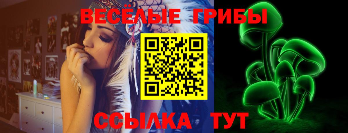 Псилоцибиновые грибы MAGIC MUSHROOMS Королёв
